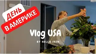 Мой День в Америке / Влог США