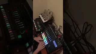 Live Jungle