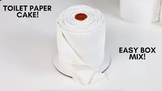 DIY Toilet Paper Cake with Box Mix! Easy!