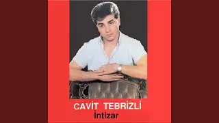 Arama Meni