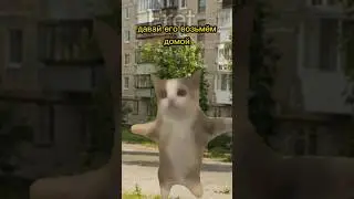 Квадробер угрожает😂 