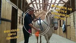 Как приучить лошадь к пшикалкам. НатураХорс Real Life.