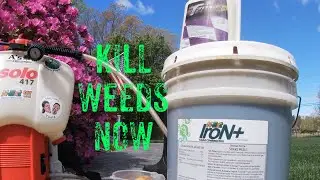 KILLING WEEDS IN SPRING // Mixing HERBICIDE with FERTILIZER