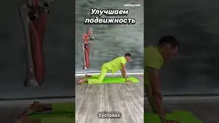 Улучшаем работу ягодиц и тазобедренных суставов