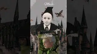 Book vs Movie Comparison