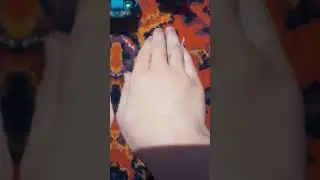 все мои фигурки😎