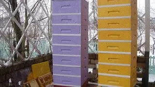 Улей из пенополистирола своими руками