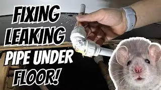 Fixing leaking pipe under floor!