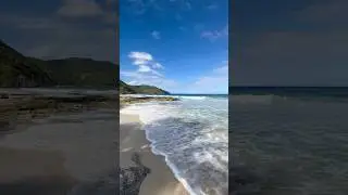Wake up and leave #shorts #reels #beach #nature