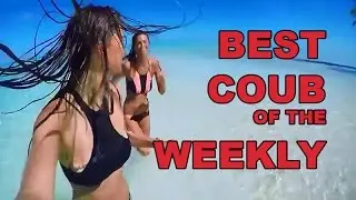 Best Video Coub november 2016 //Лучшие кубы за неделю