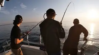 Dipsey Mayhem | Early July King Salmon Fishing - Port Credit Lake Ontario