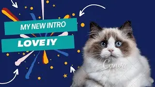 new intro