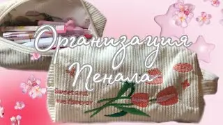 Организация нового пенала||study|| soft_kittttty💌