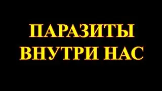 Микропаразиты и аспекты осознанности (просветления).