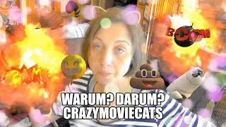 Warum? Na, Darum:🤪🎬🐈🐱🦁