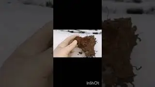 #коп