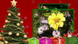 СЧАСТЬЯ   В НОВОМ ГОДУ!
