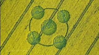 1st Sudarshan Crop Circle of 2022