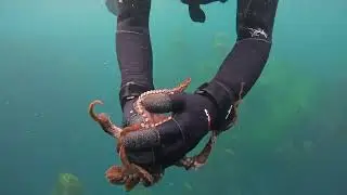 Some of my favorite video clips!