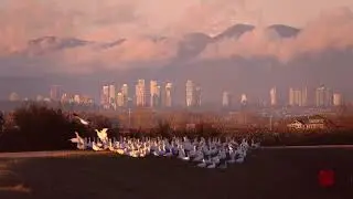 The snow geese travel through time and space, scattering to the sky and the earth, which is amazing.