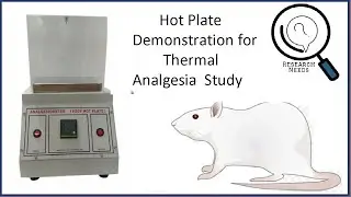 How to operate Hot Plate for Thermal Analgesia Study in Rats | Hot Plate Analgesiometer
