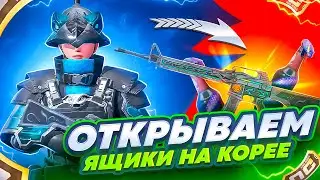 ЗА СКОЛЬКО Выбивается ПУШКА НА ПРОКАЧКУ на Корее ► PUBG mobile KR