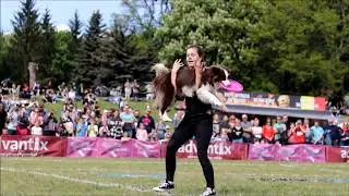 Latające Psy Poznań 2019 od Wiktoria Kretosz