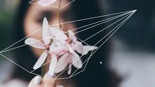 Project Motion Theater Effects _ Day 32 _ line work _ Photoshop Tutorial
