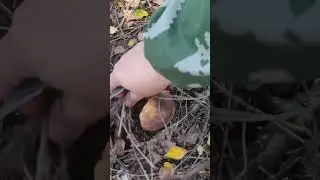 вот так вот не надо