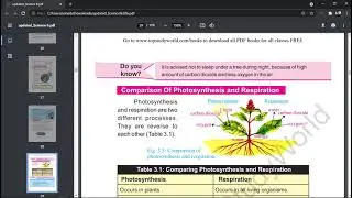 Class 6. Chapter 3 of Science. Photosynthesis and Respiration in Plants. Topic Respiration In Plants