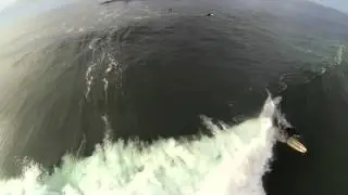 Shore Break