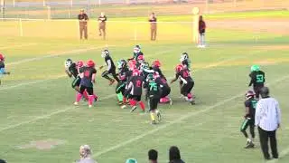 110219 Razorbacks vs Green Machine