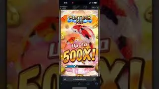 First try sa Fortune Koi (FaChai) | NUEBE999