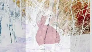 " la Balade de Flore  "  19 sept 2021 1