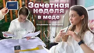 VLOG: I'M TAKING TESTS EVERY DAY | A WEEK BEFORE THE SESSION