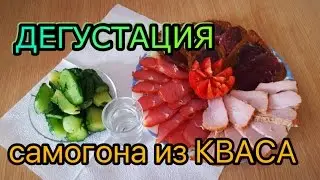 Tasting brew of kvass.