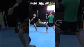 Georges St-Pierre Superman Punch Striking Series for MMA