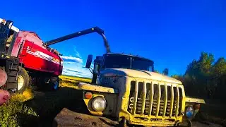Комбайны Палессе GS-12 и Енисей 950 на уборке овса. Вывожу зерно на Урале! Продолжение ролика.