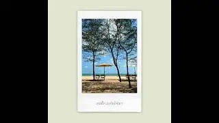 พื้นที่ให้เซ่า - themoonwillalwaysbewithme // official lyrics //