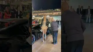 Monaco Nightlife 