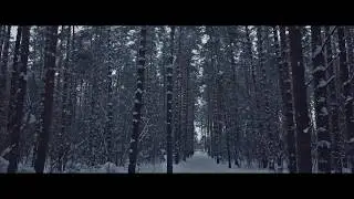 ЗИМА БЛИЗКО...