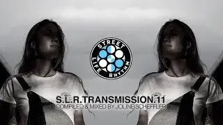 SLR Transmission 11 by Joline Scheffler
