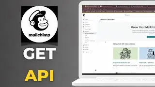 How To Get Mailchimp API Key And List Id Audience Id