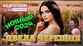 ЦВЕЛА ЧЕРЕШНЯ | СБОРНИК 2024 | БОДРЯЧКОМ И С МУЗЫКОЙ