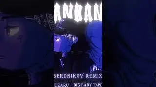 Big Baby Tape, kizaru - 99 problems 🖤🤍(BERDNIKOV Remix)