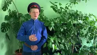 Александр Ермилов Волгоградская область
