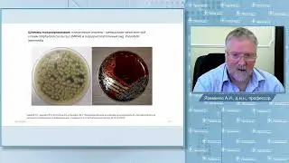 Ответственность врача-стоматолога при выборе лекарственных средств. Лечение и возможные осложнения