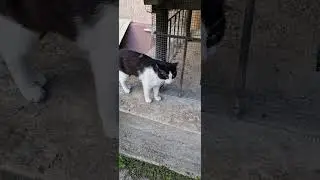 Жора привет
