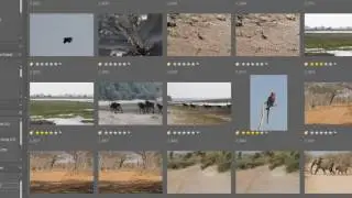 Getting Started   The Snapper PhotoManager Workspace Part 2