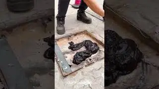 🚫➡️🛠️ DIY Asphalt Repair: Transforming Potholes Step-by-Step! 🛣️